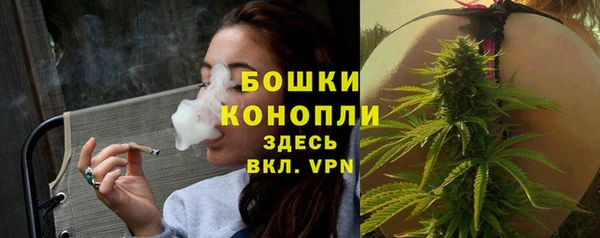 амф Бронницы