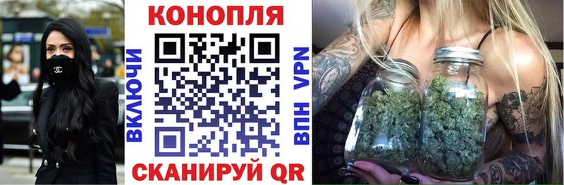 где можно купить наркотик  Оса  Бошки Шишки марихуана 